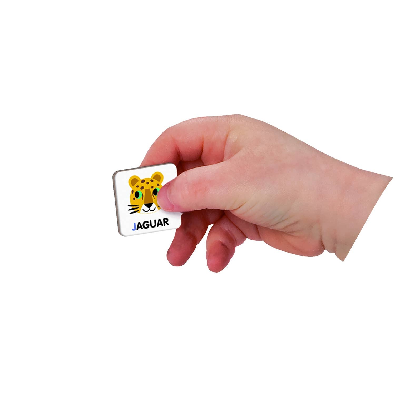 Alphabet français Janod -Magneti'Book -3 à 8 ans